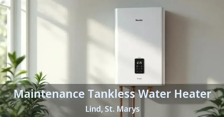 Maintenance Tankless Water Heater Lind, St. Marys - ON