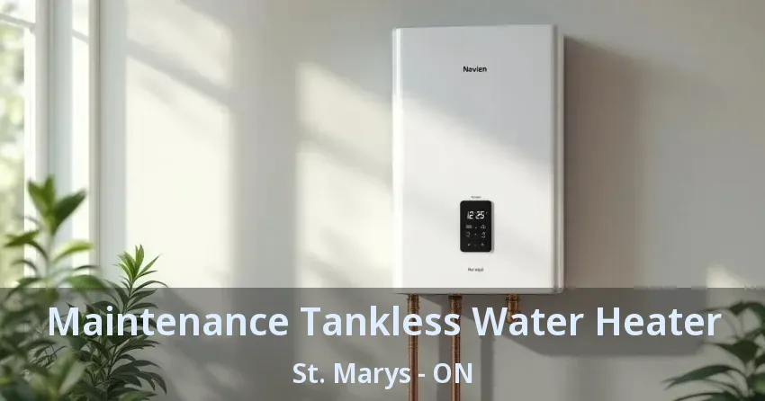 Maintenance Tankless Water Heater St. Marys - ON