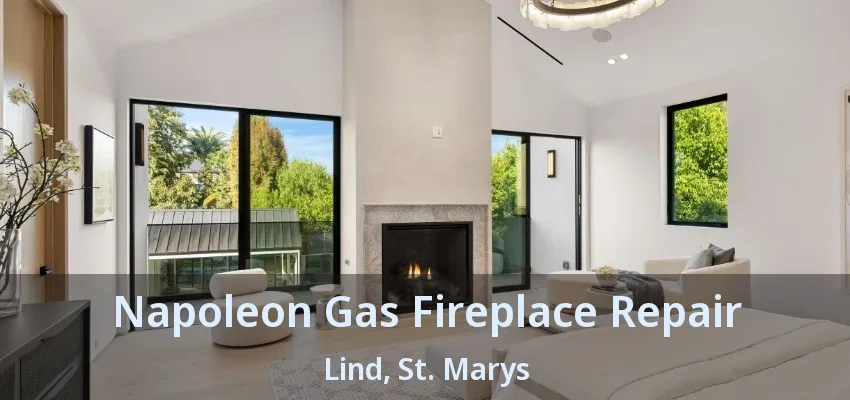 Napoleon Gas Fireplace Repair Lind, St. Marys - ON Napoleon Gas Fireplace Repair Lind, St. Marys - ON