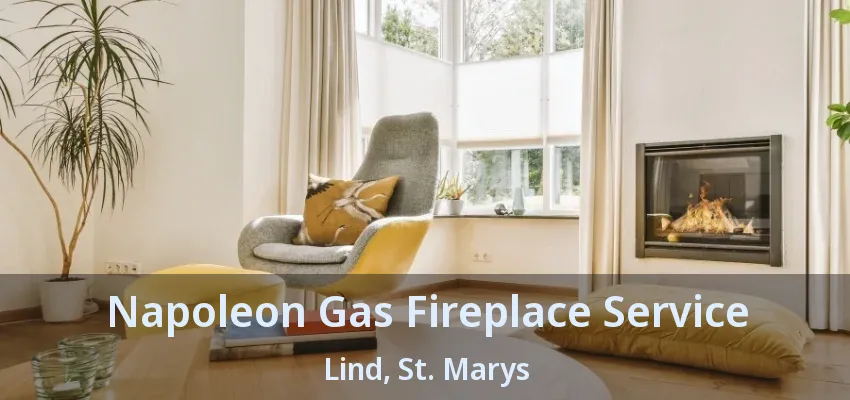 Napoleon Gas Fireplace Service Lind, St. Marys - ON