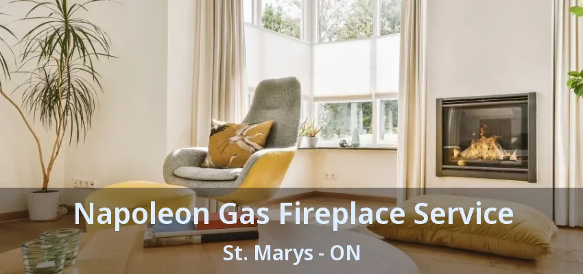 Napoleon Gas Fireplace Service St. Marys - ON Napoleon Gas Fireplace Service St. Marys - ON