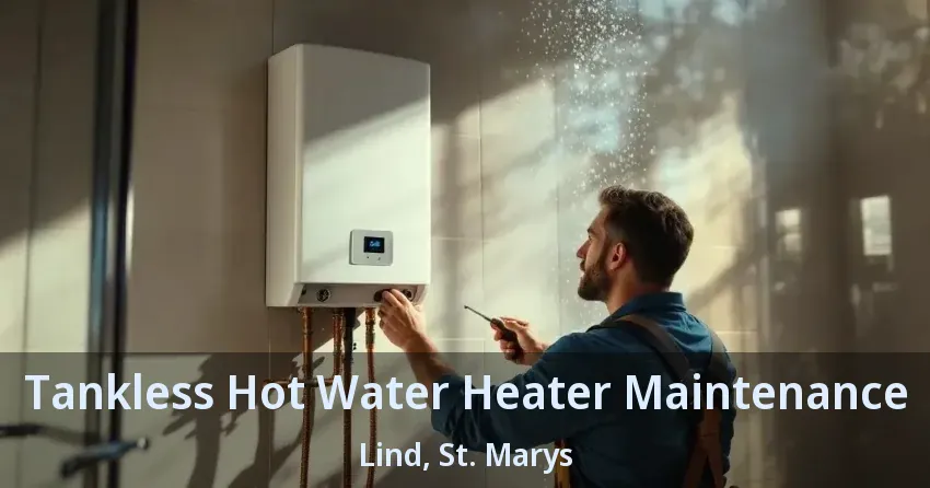 Tankless Hot Water Heater Maintenance Lind, St. Marys - ON Tankless Hot Water Heater Maintenance Lind, St. Marys - ON