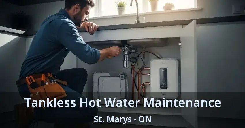 Tankless Hot Water Maintenance St. Marys - ON Tankless Hot Water Maintenance St. Marys - ON