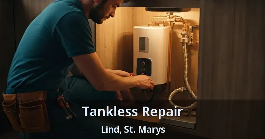 Tankless Repair Lind, St. Marys - ON Tankless Repair Lind, St. Marys - ON