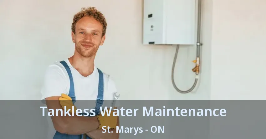 Tankless Water Maintenance St. Marys - ON